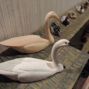 Featured Highlight Swans